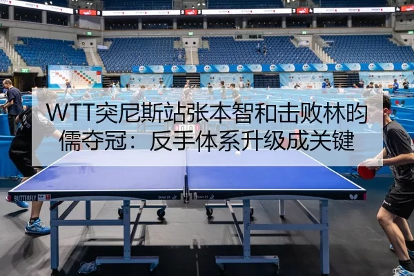 tu-ni-si-zhan-zhang-ben-zhi-he-ji-bai-lin-yun-ru-duo-guan-fan-shou-ti-xi-sheng-ji-cheng-guan-jian-1-941.jpg